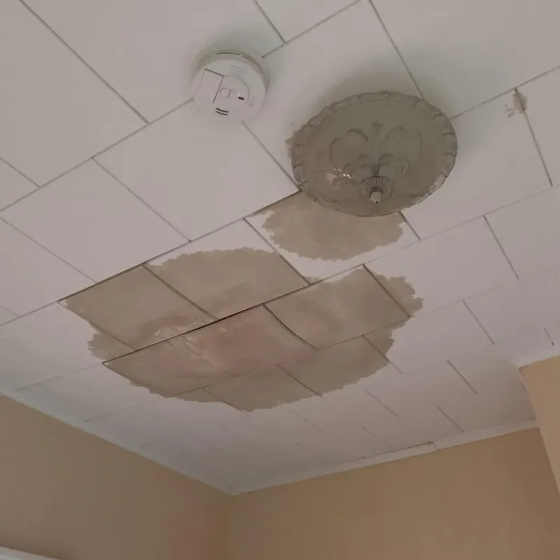 Ceiling Water Damage Repair in Munsey Park, NY